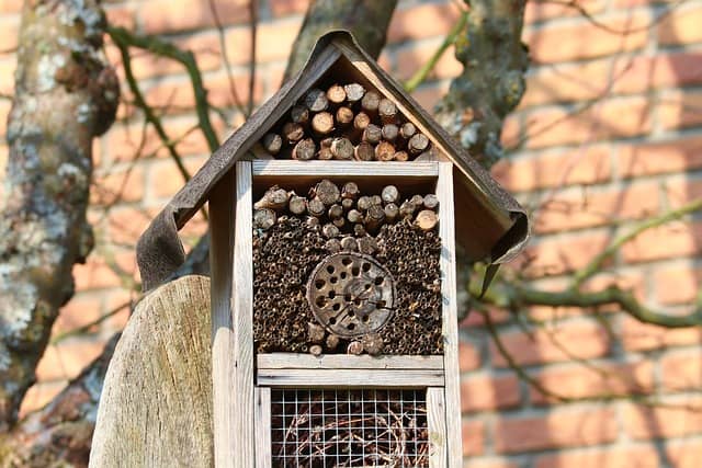 bee-hotel