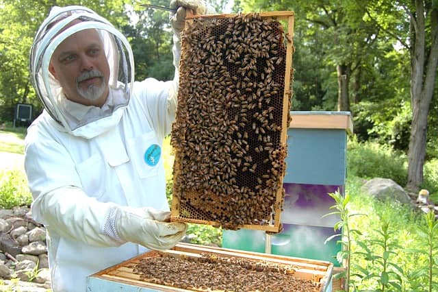 beekeeping